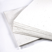 PLANTABLE SEED PAPER UK -BLKM GROUP